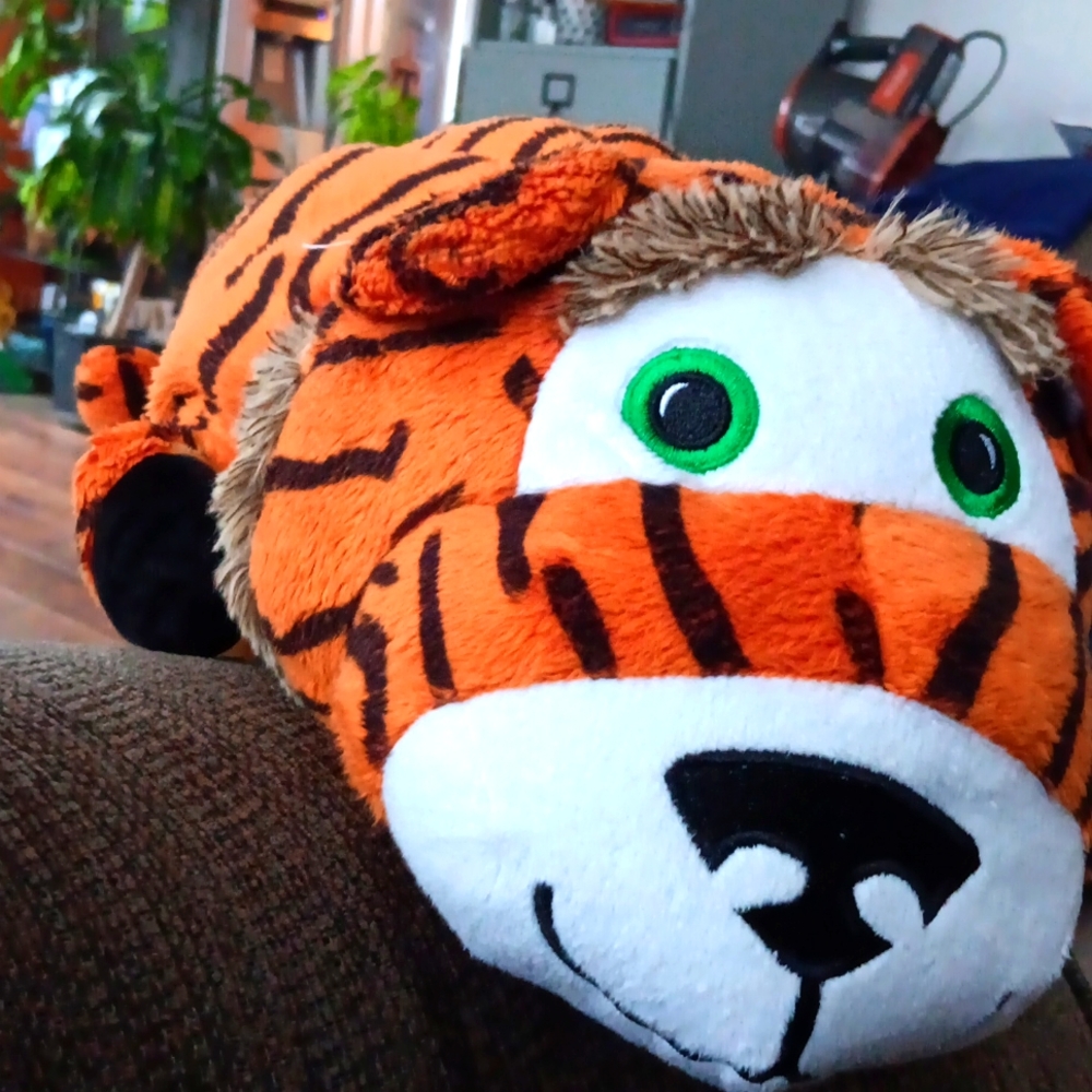 Rio & Tiger flip pets